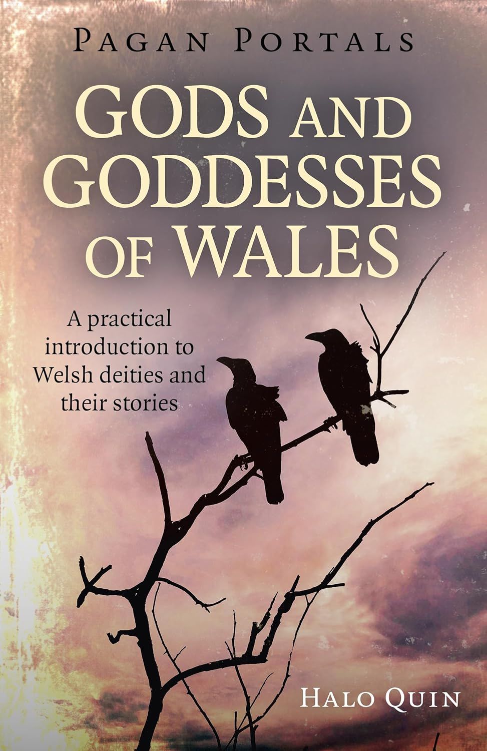 Pagan Portals Gods And Goddesses Of Wales