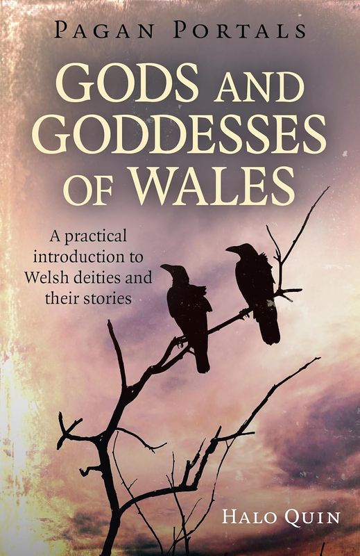 Pagan Portals Gods And Goddesses Of Wales