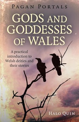 Pagan Portals Gods And Goddesses Of Wales