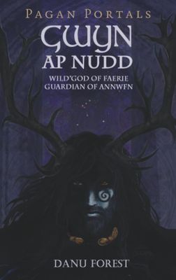 Pagan Portals: Gwyn ap Nudd
