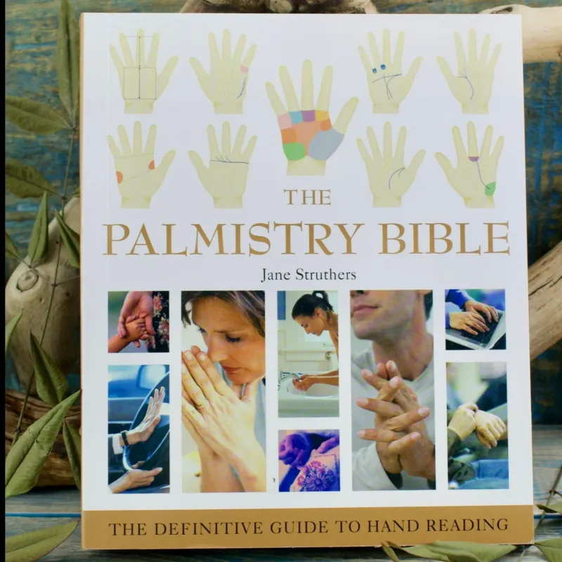 PALMISTRY BIBLE: The Definitive Guide To Hand Reading