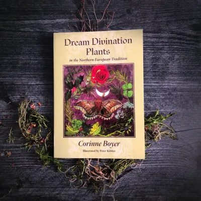 Dream Divination Plants: in the Northern European Tradition