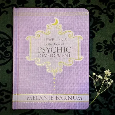 LLEWELLYN'S LITTLE BOOK OF PSYCHIC DEVELOPMENT (H) LLEWELLYN'S LITTLE BOOK OF PSYCHIC DEVELOPMENT (H)
