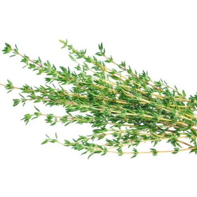 Thyme Essential Oil