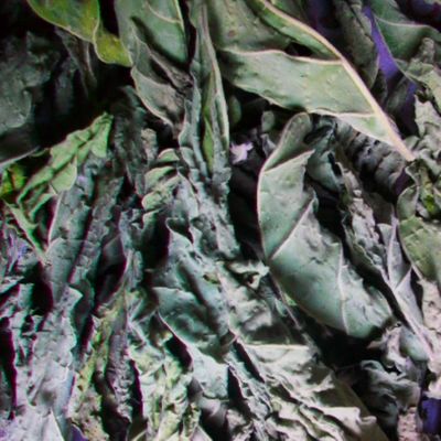 Devil's Weed (Datura/Jimson Weed)