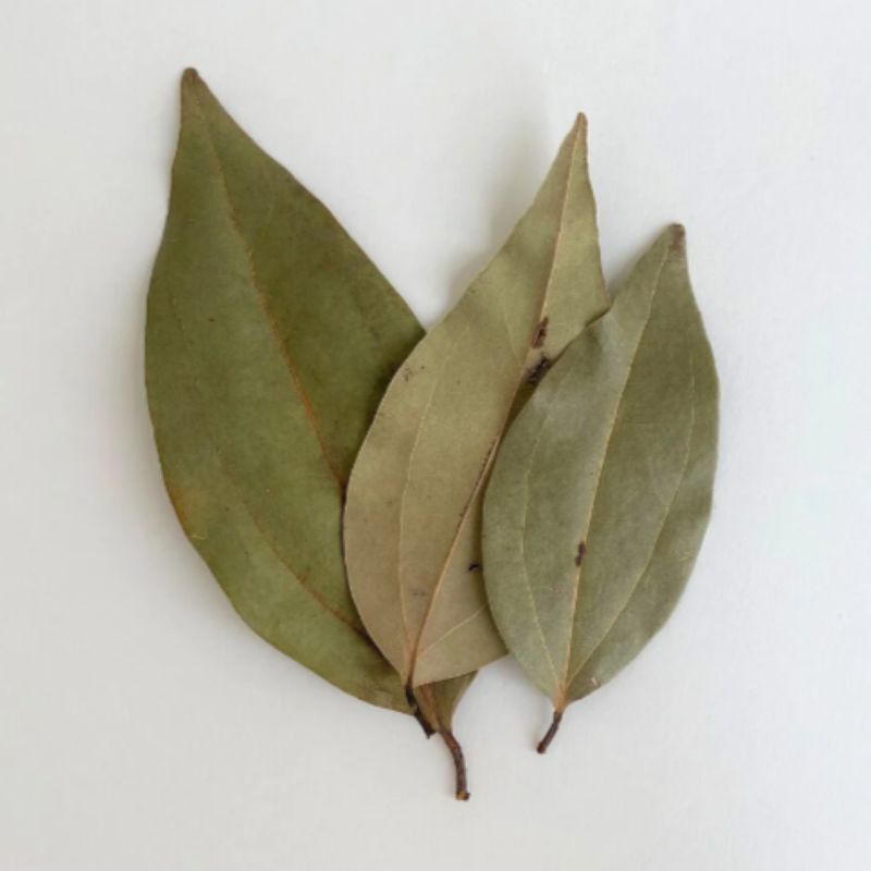 Cinnamon Leaf Essential Oil