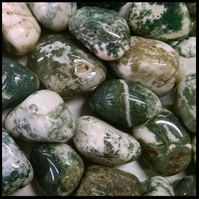 Tree Agate
