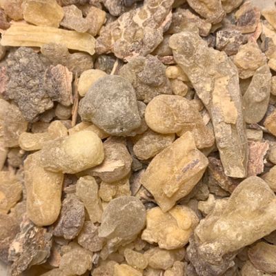 Frankincense - Janawhi dalzielli