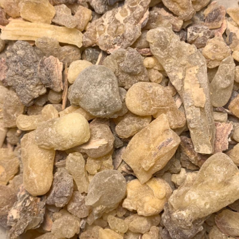 Frankincense - Janawhi dalzielli