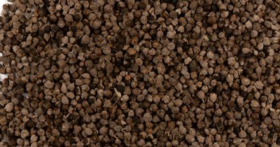 Chaste Berry aka Chaste Tree Berries 0.5 oz