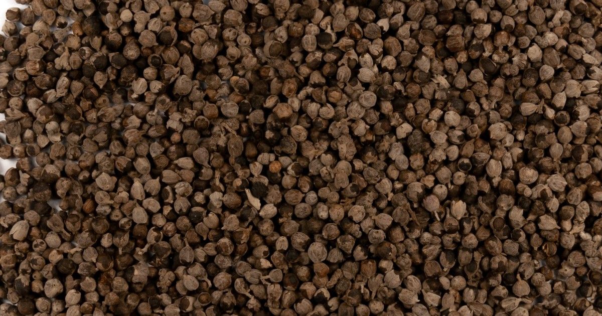 Chaste Berry aka Chaste Tree Berries 0.25 oz