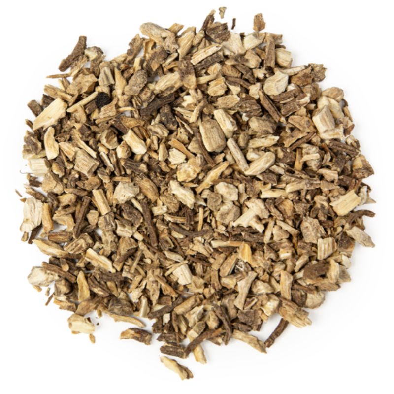Angelica Root Essential Oil