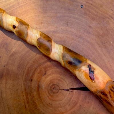 The Wandsmith- The Magick of Wood BLOG PT2