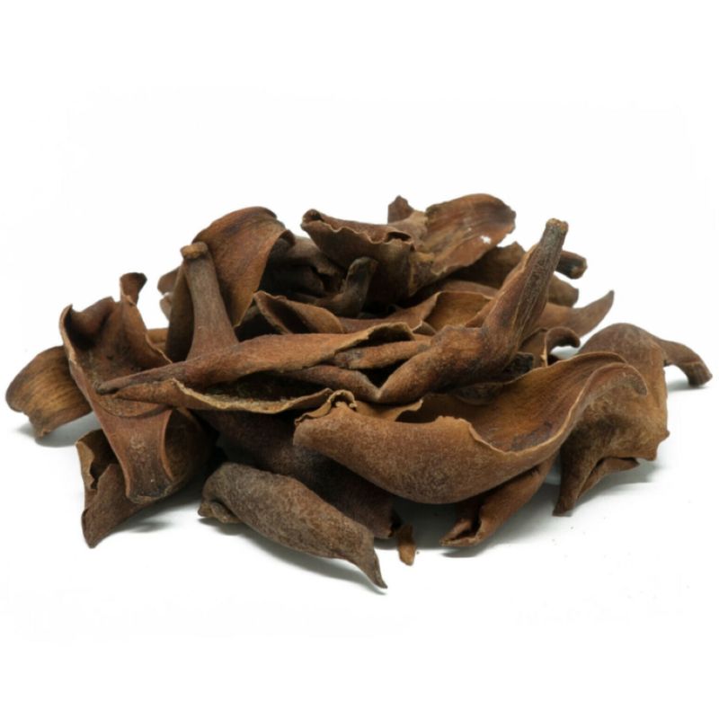 Magnolia Bark