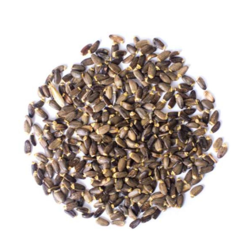 Milk Thistle Seed