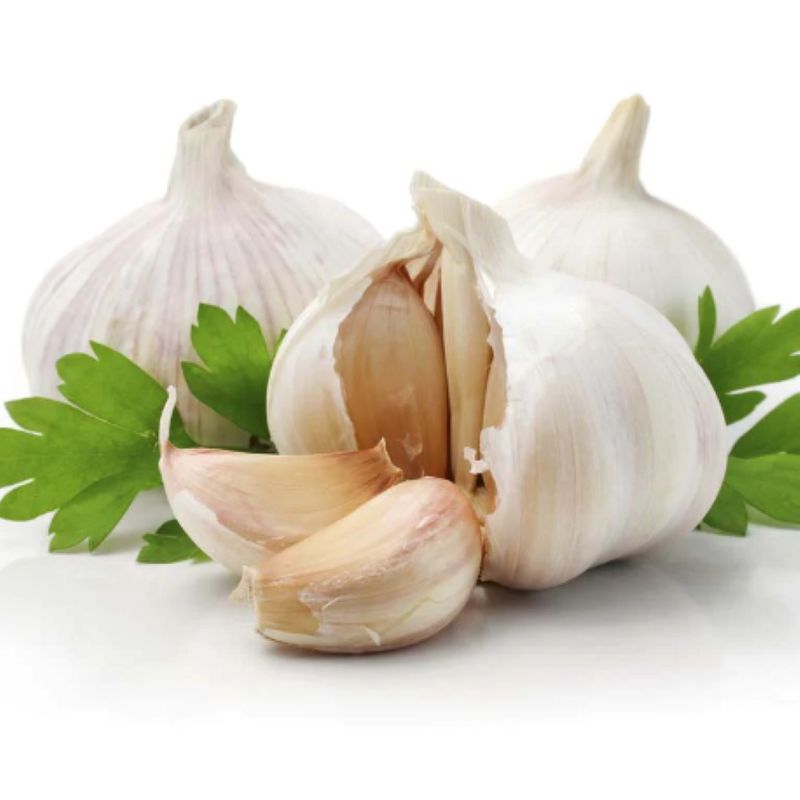 Garlic Essential Oil