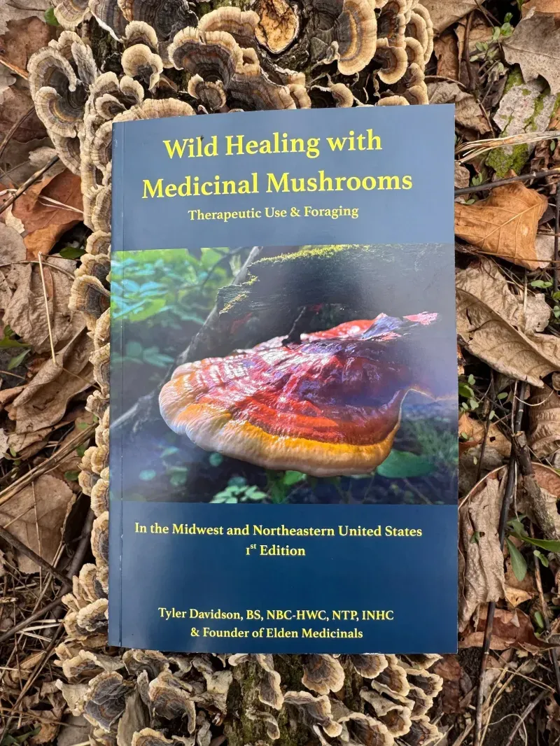 Wild Healing with Medicinal Mushrooms