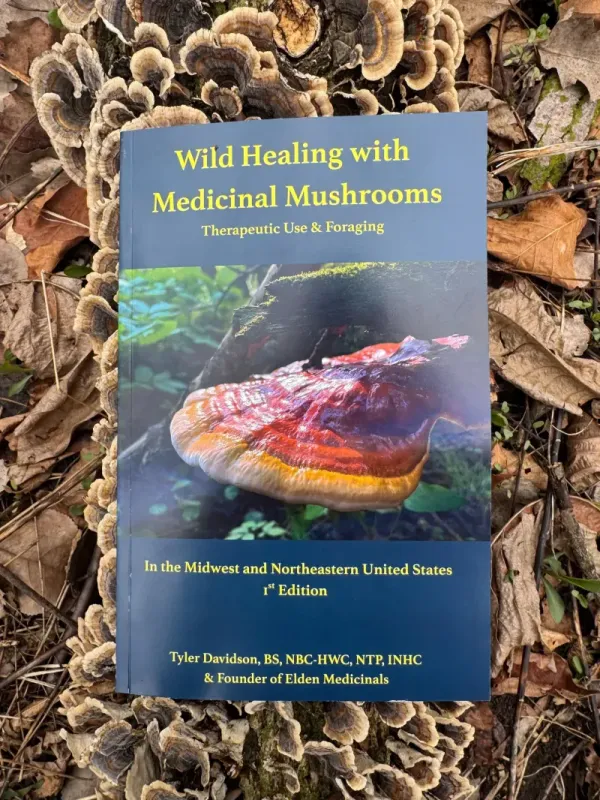 Wild Healing with Medicinal Mushrooms
