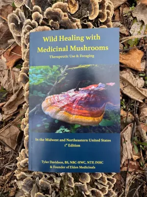 Wild Healing with Medicinal Mushrooms