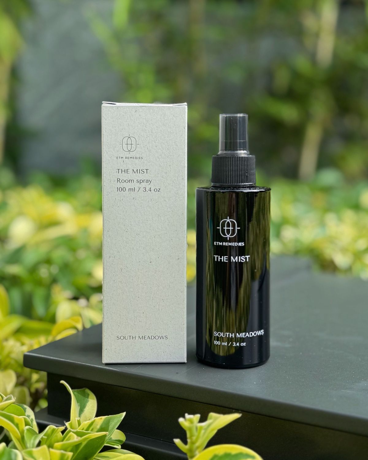 THE MIST - SOUTH MEADOWS