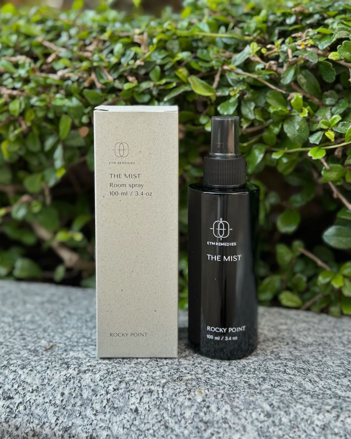 THE MIST - ROCKY POINT