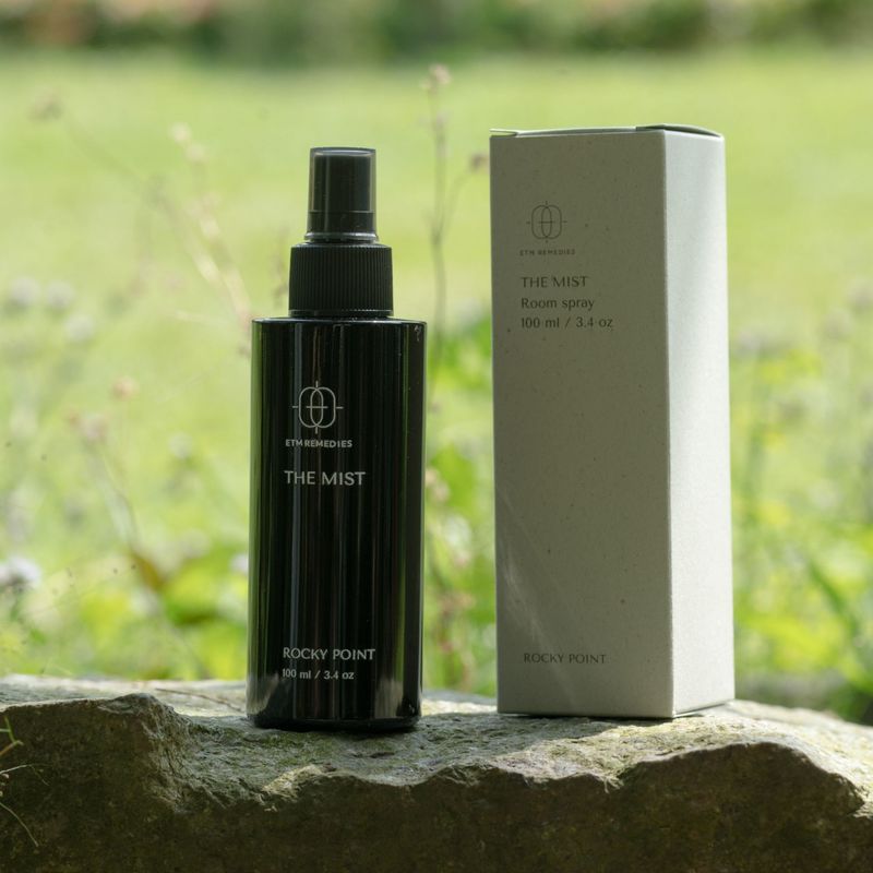 THE MIST - ROCKY POINT THE MIST - ROCKY POINT