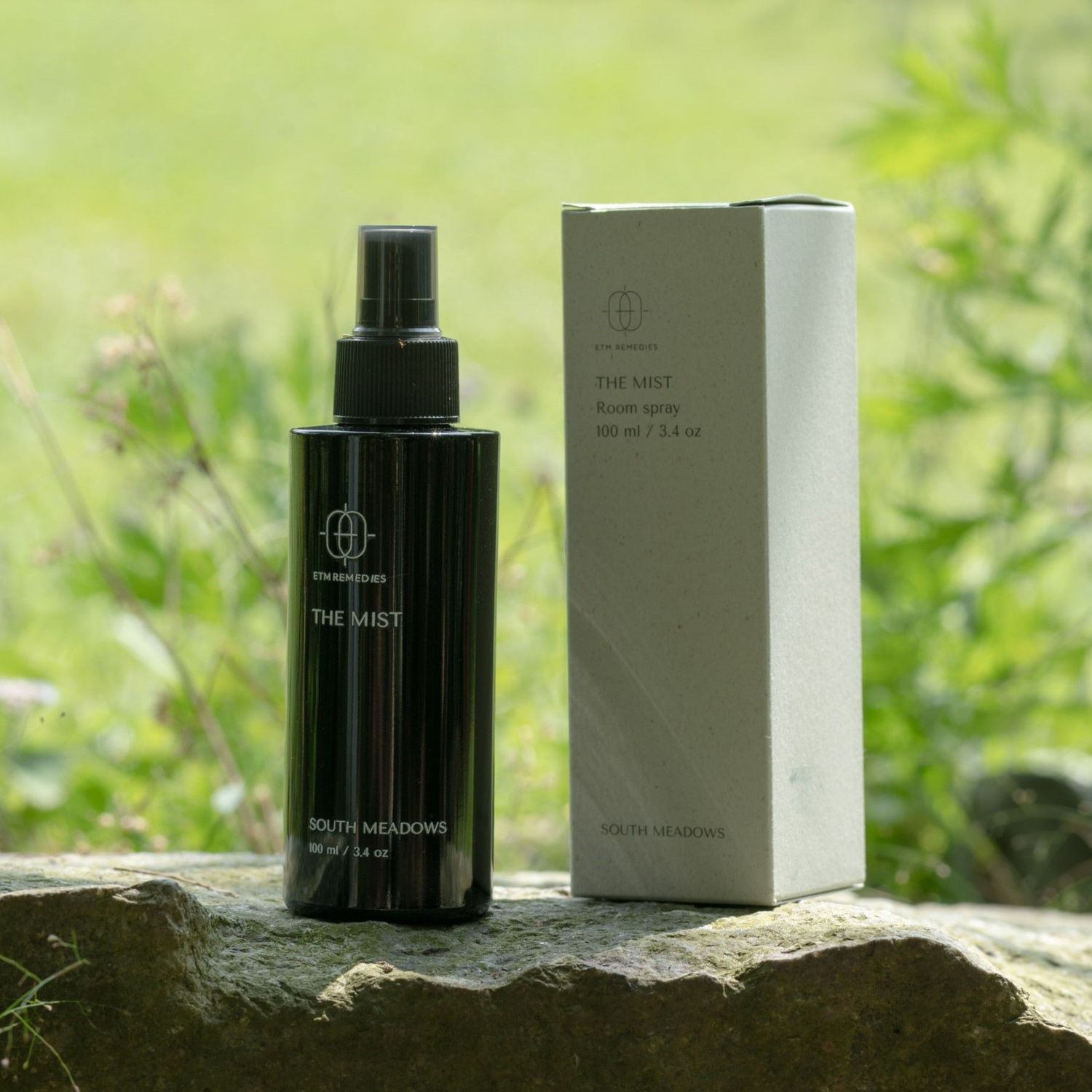 THE MIST - SOUTH MEADOWS THE MIST - SOUTH MEADOWS