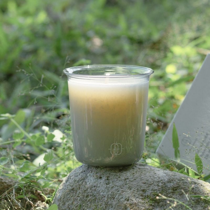 THE WANDER - SOUTH MEADOWS THE WANDER - SOUTH MEADOWS