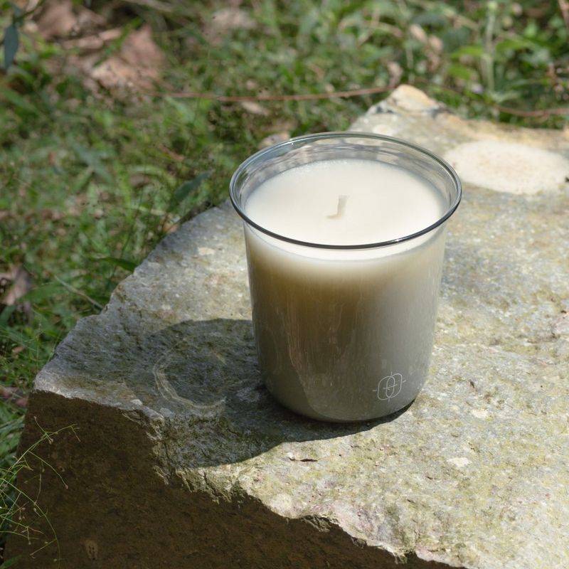 THE WANDER - ROCKY POINT THE WANDER - ROCKY POINT