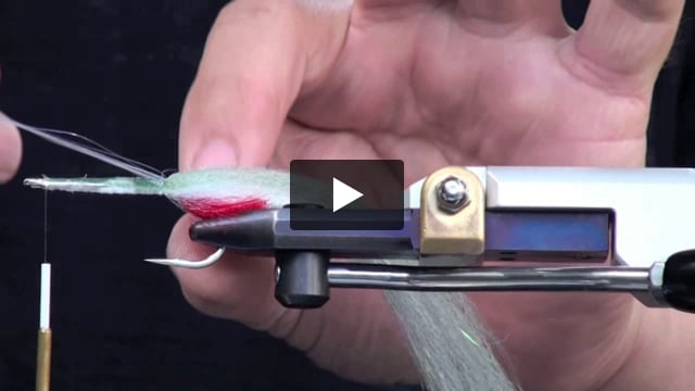 Needle Fish