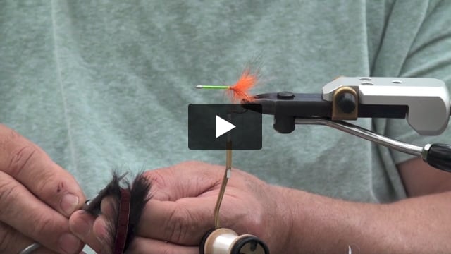 Tarpon Bunny Special