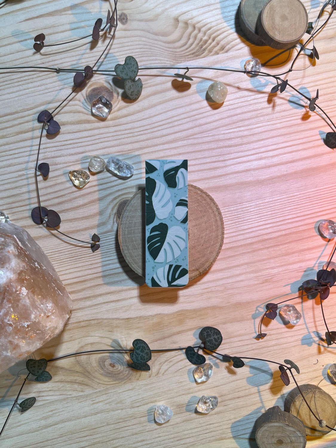 Magnetlesezeichen - Monstera Variegata