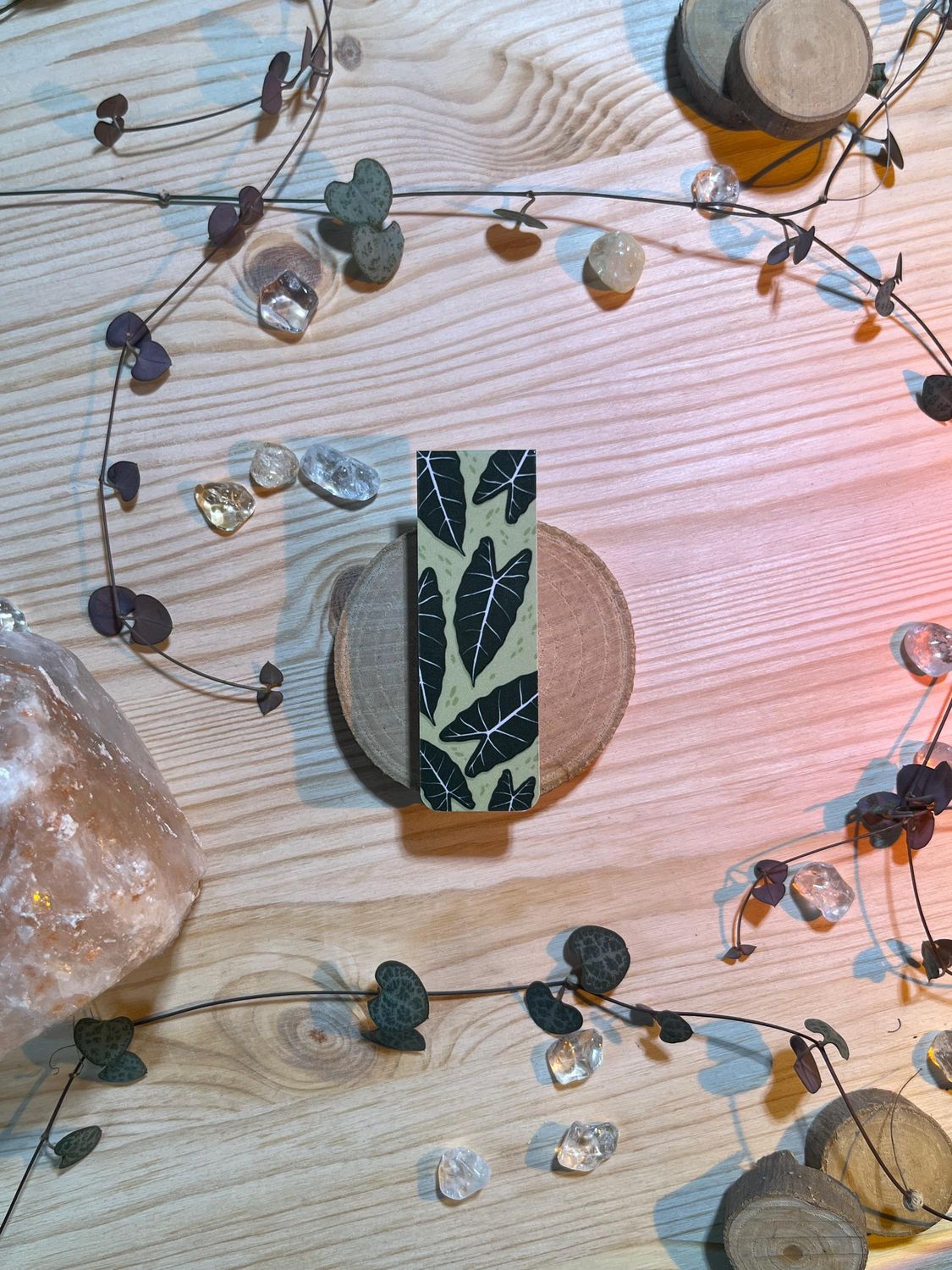 Magnetlesezeichen - Alocasia Micholitziana