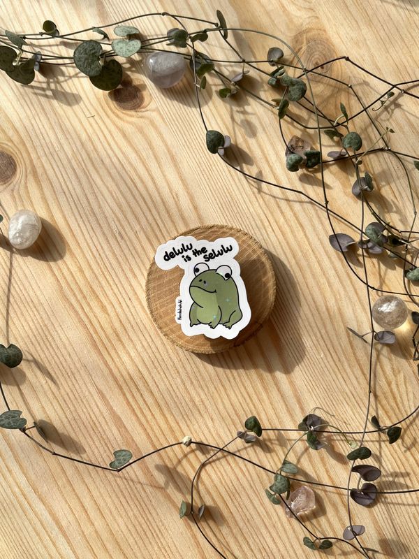 Vinyl Sticker - Frosch "delulu is the selulu"