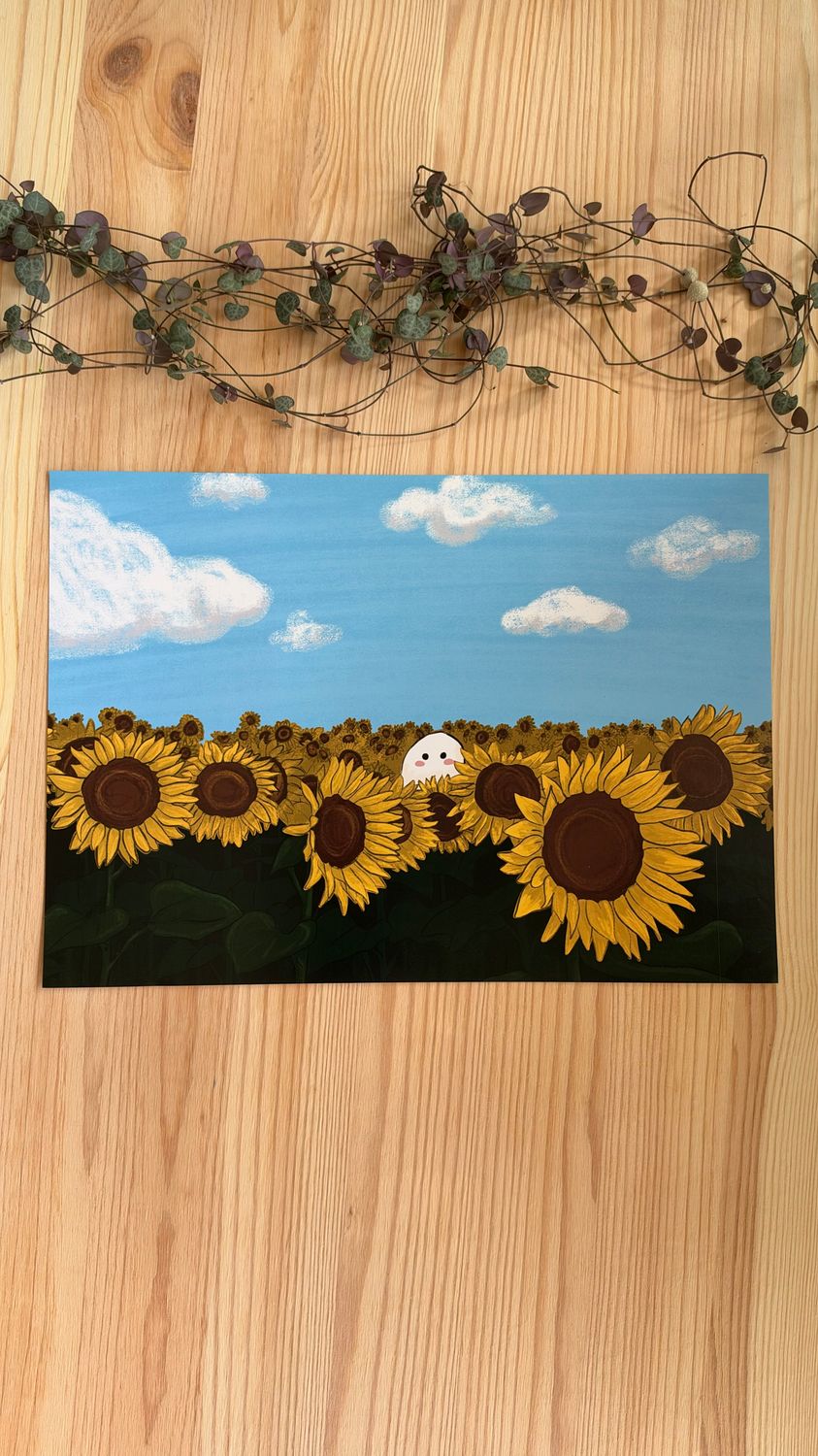 Poster - Sonnenblumenfeld Poster - Sonnenblumenfeld