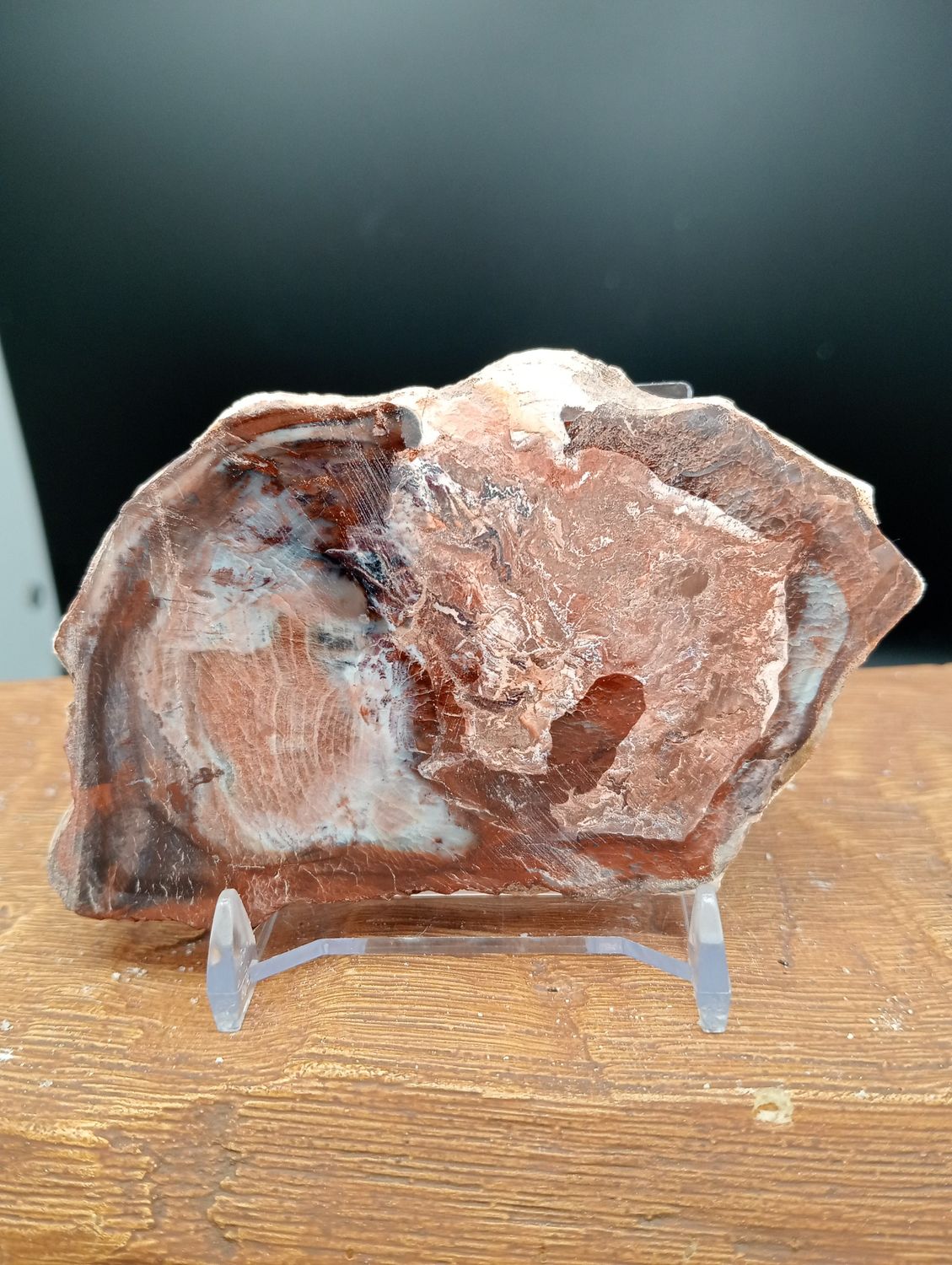 Versteend Hout