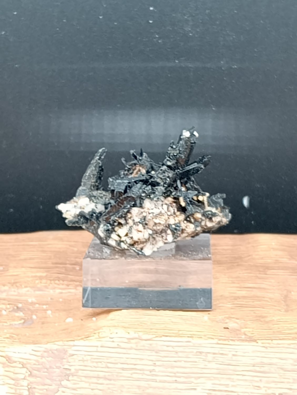 Aegirien