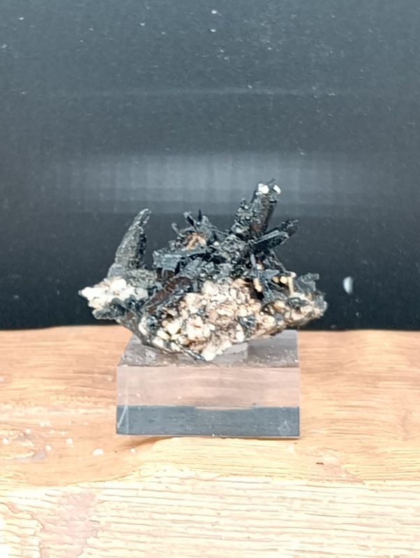 Aegirien