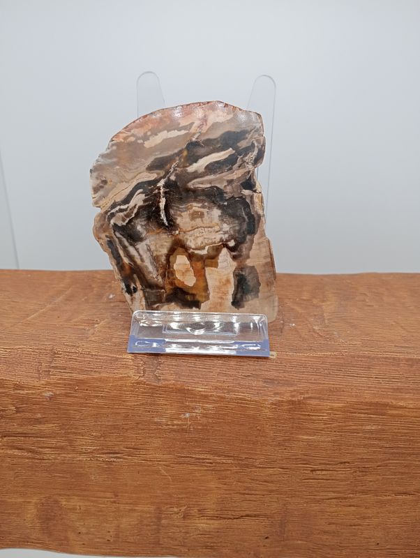 Versteend Hout