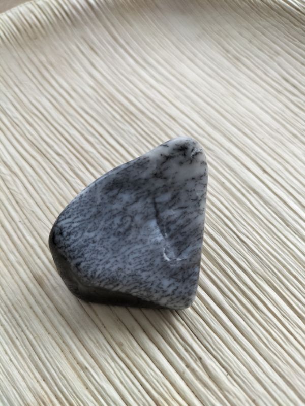 Dendriet Opaal Trommelsteen