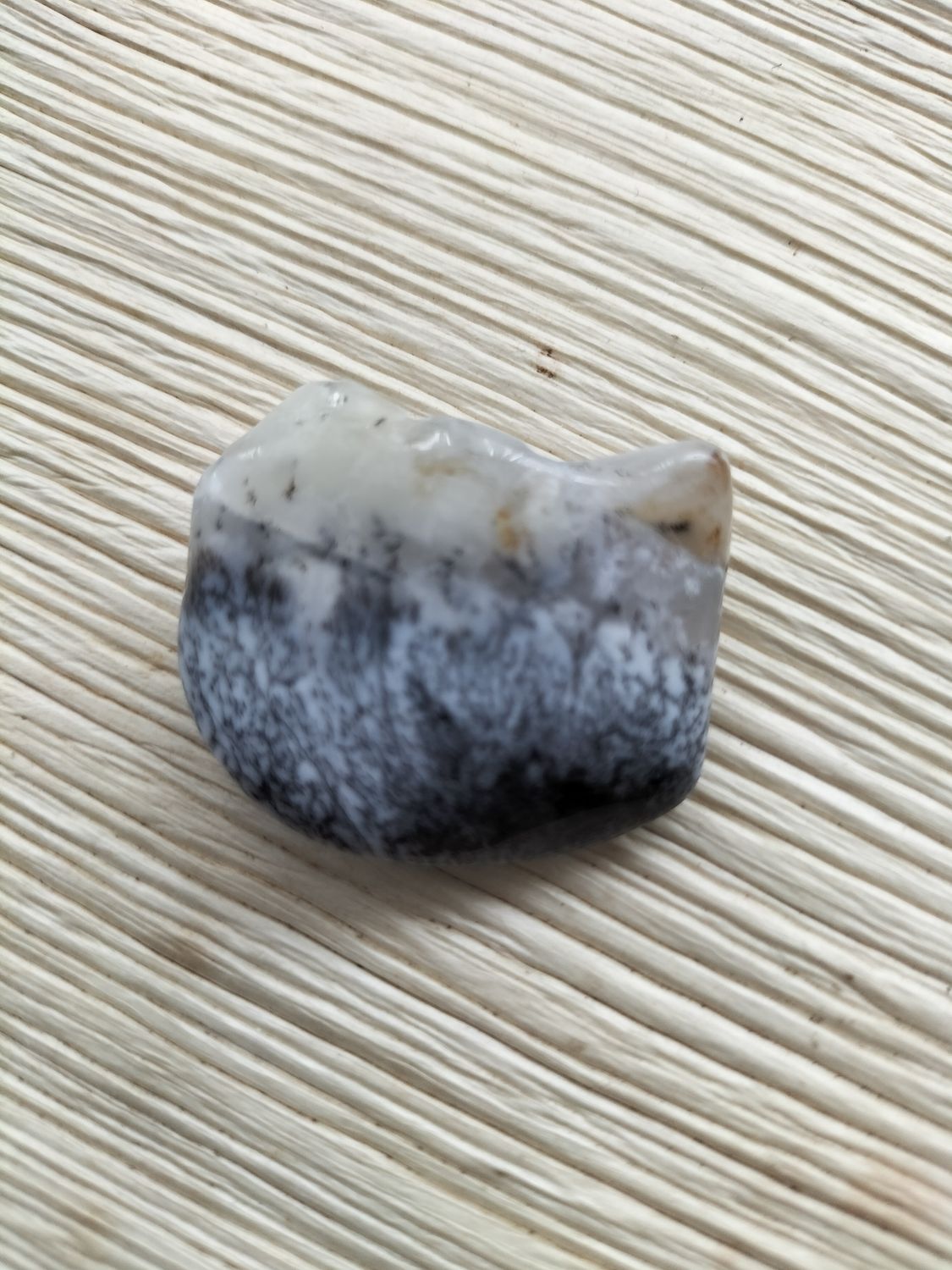 Dendriet Opaal Trommelsteen