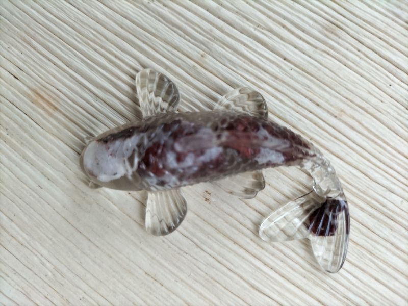 Koikarper Jaspis Breccie