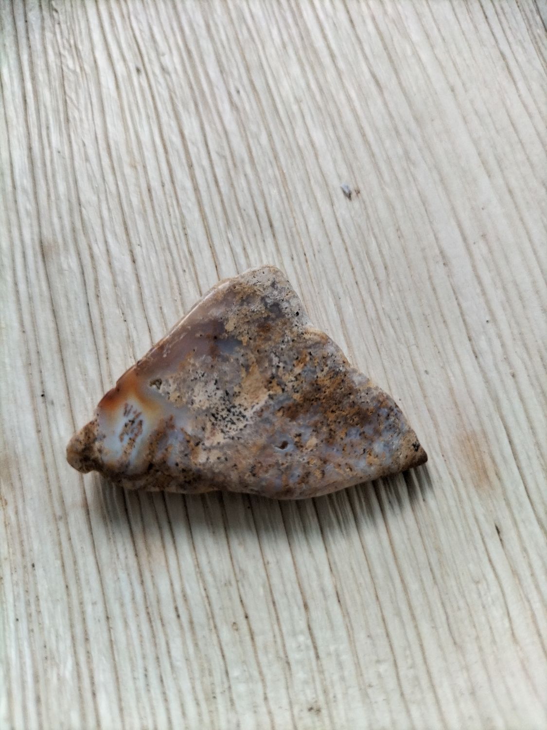 Versteend Hout