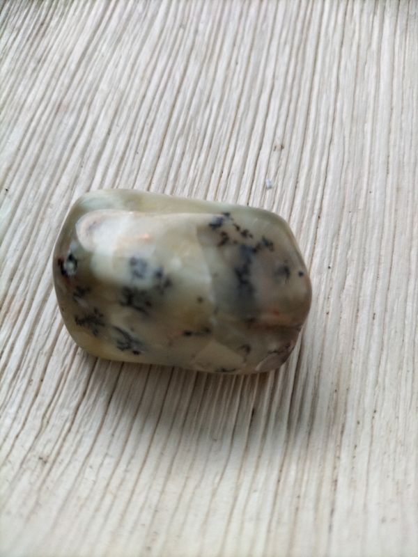 Groene Dendriet Trommelsteen