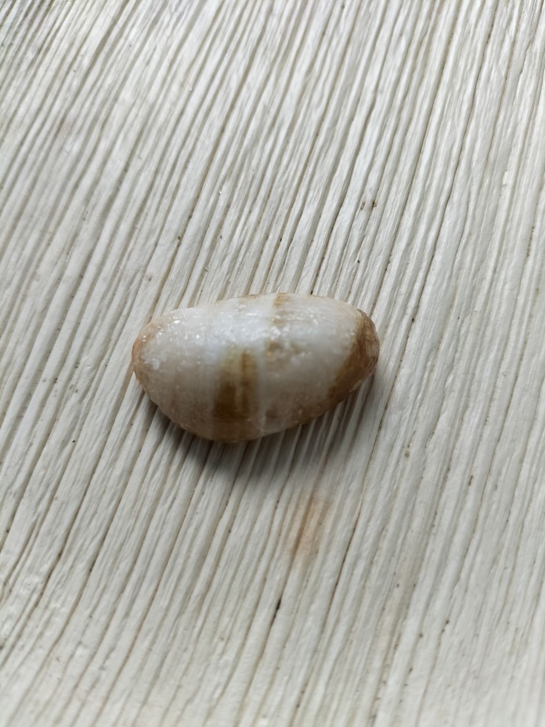 Honing Calciet Trommelsteen