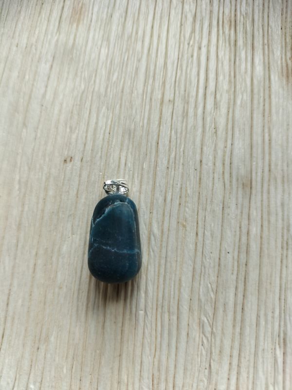 Hangertje Blauwe Apetiet