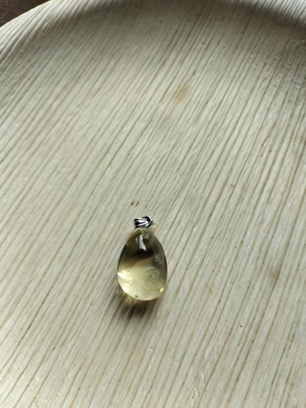 Hangertje Lemon Citrien