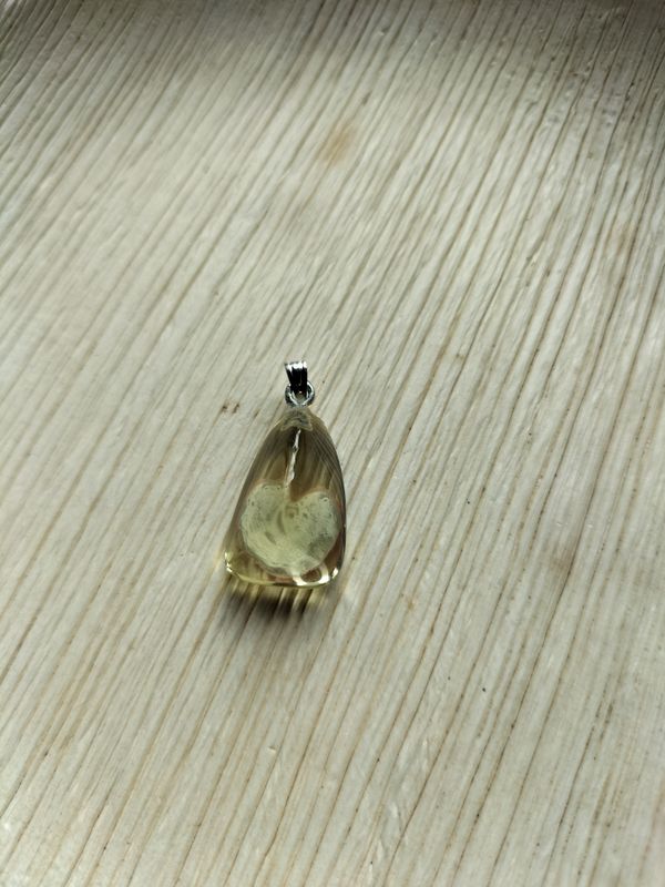 Hangertje Lemon Citrien