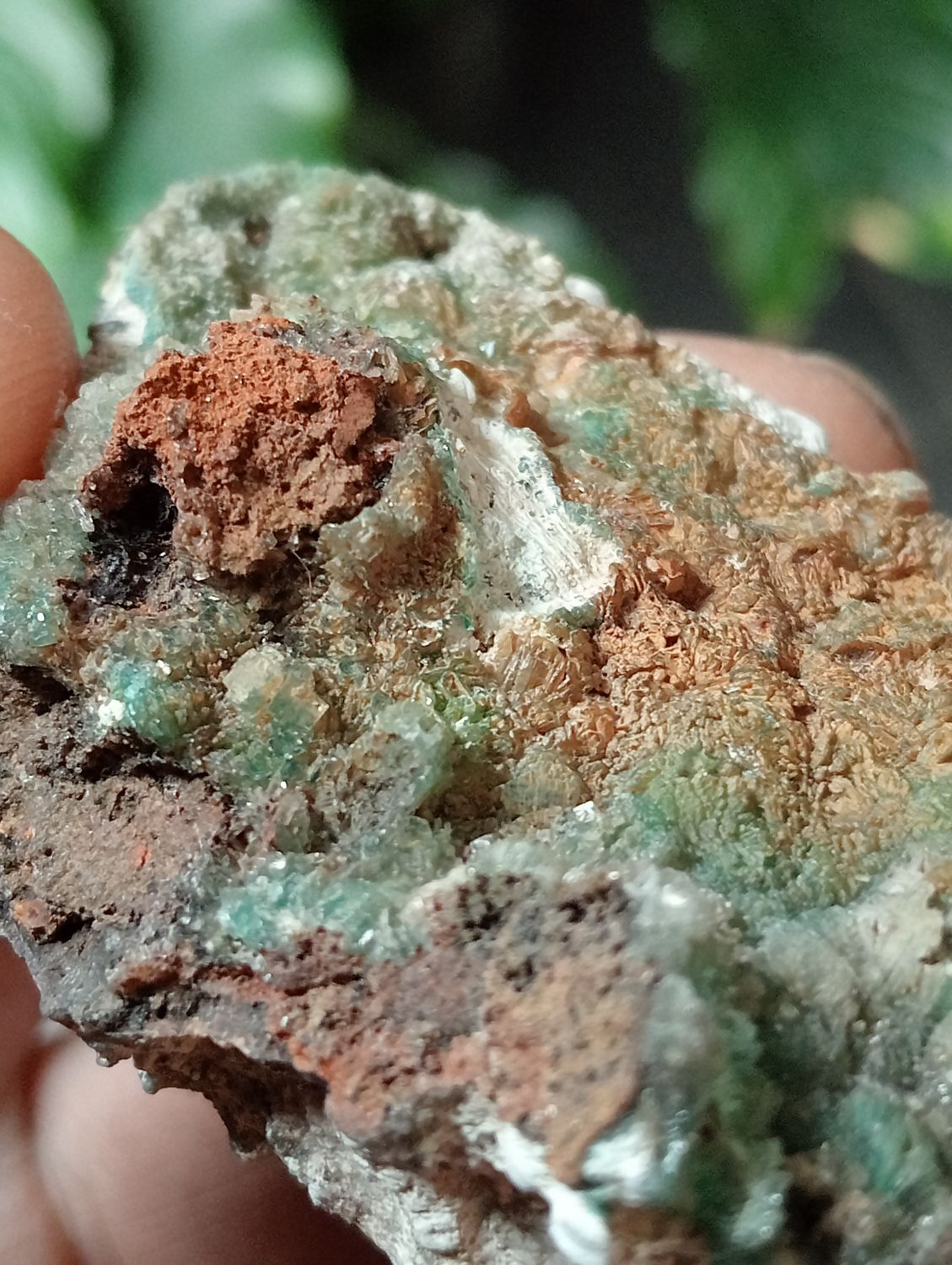 Prehniet met Calciet op Matrix