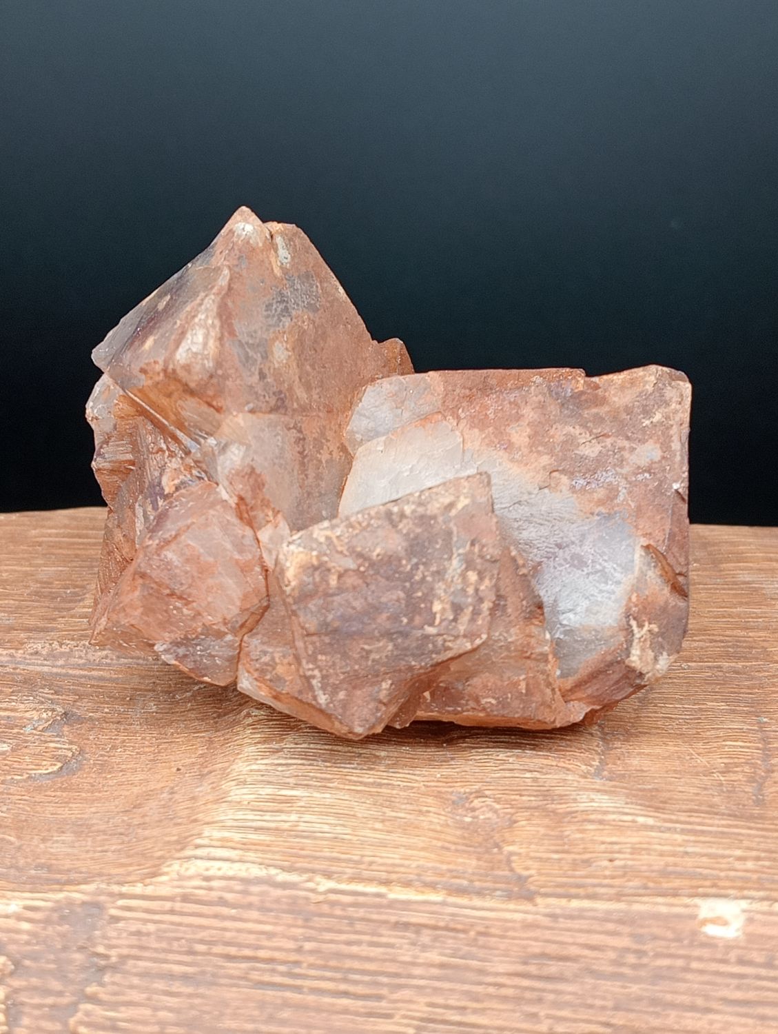Phantom Dogteeth Calciet